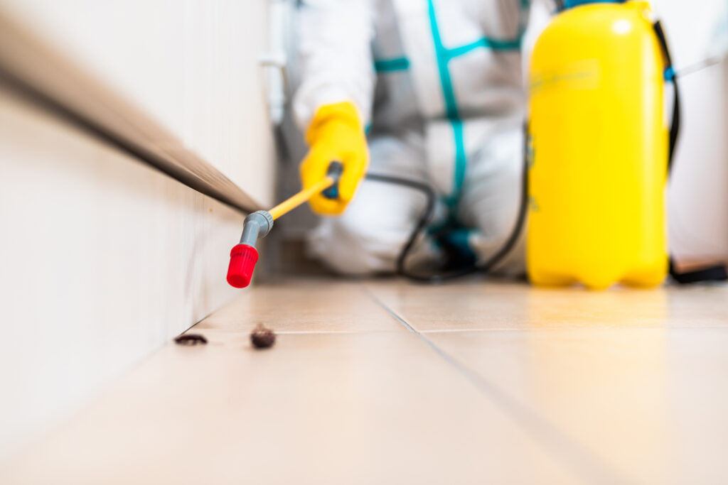 Avon Lake Cockroach Control Specialists